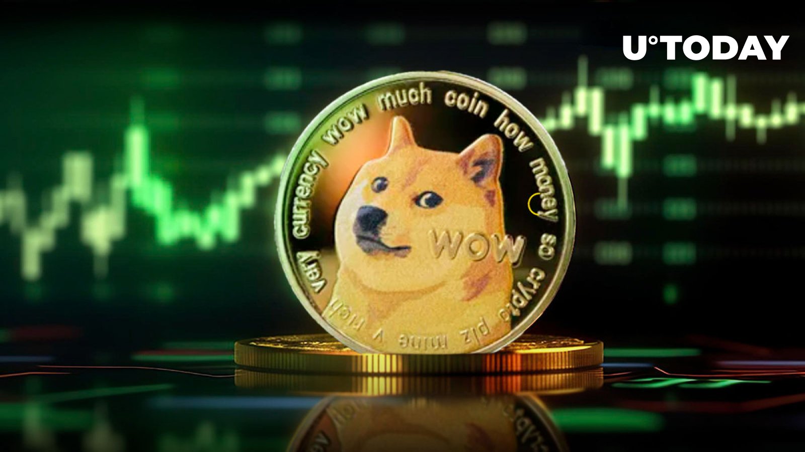 بررسی Dogecoin: با وجود افت 8 درصدی DOGE، متریک کلیدی روی زنجیره سبز می شود