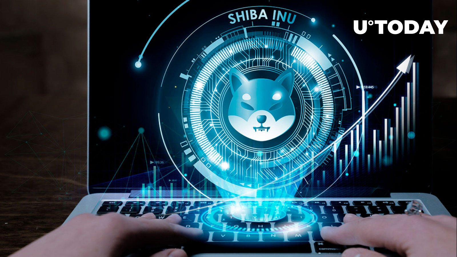 شیبا اینو در آستانه 4 میلیون آدرس با افزایش نرخ پذیرش SHIB