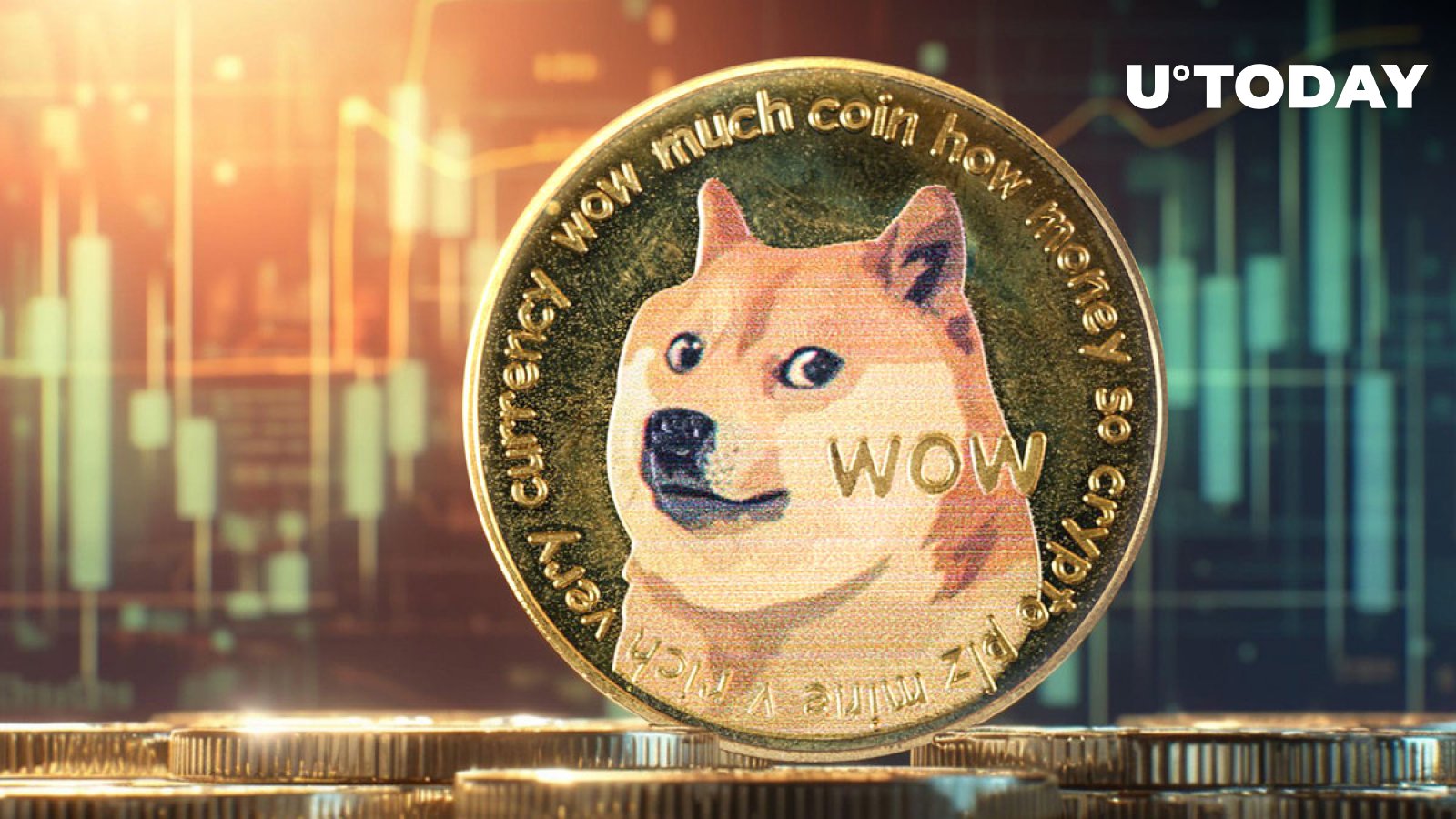کیف پول های غیر خالی Dogecoin (DOGE) 13.8 درصد در ماه افزایش یافت
