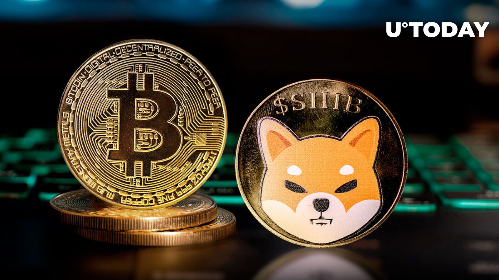 مدیر SHIB پیام مهم Shiba Inu و Bitcoin را به جامعه به اشتراک می گذارد