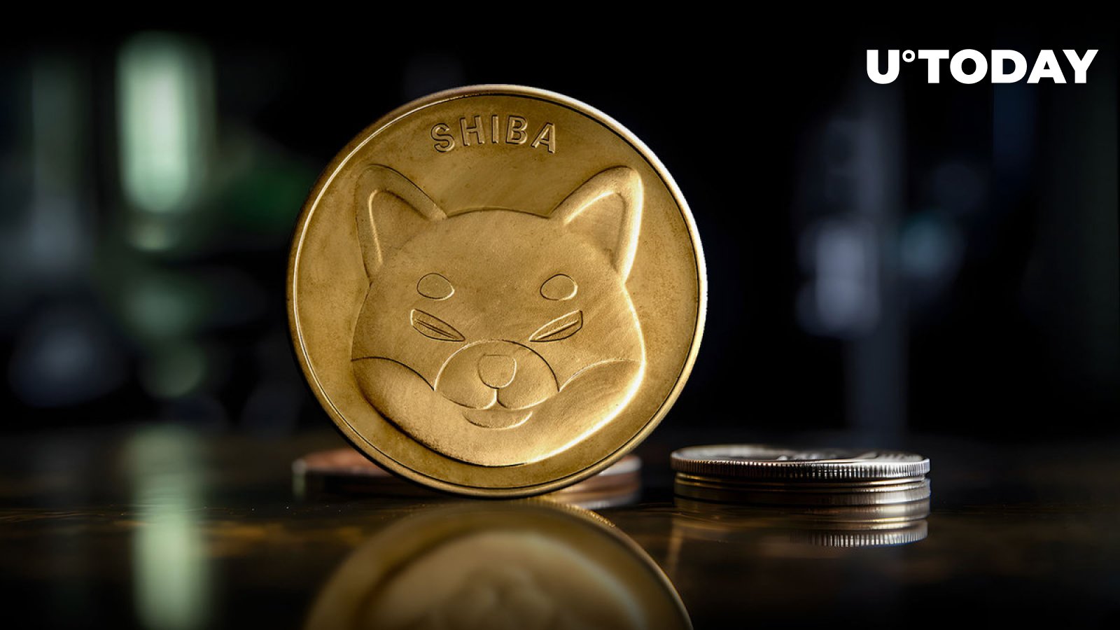 0 شیبا اینو (SHIB) در 24 ساعت: بدون فرآیند اپیلاسیون نهنگ