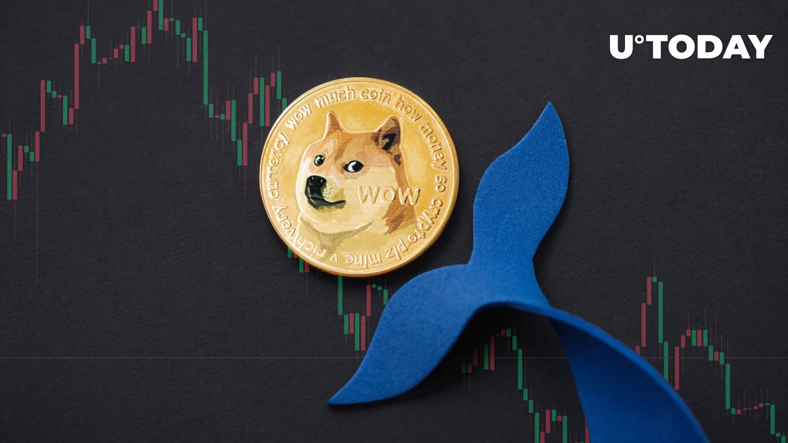 نهنگهای DOGE Meme Dogecoin پس از مرگ سگ کابوسو ناپدید شدند نهنگهای DOGE Meme Dogecoin پس از مرگ سگ کابوسو ناپدید شدند