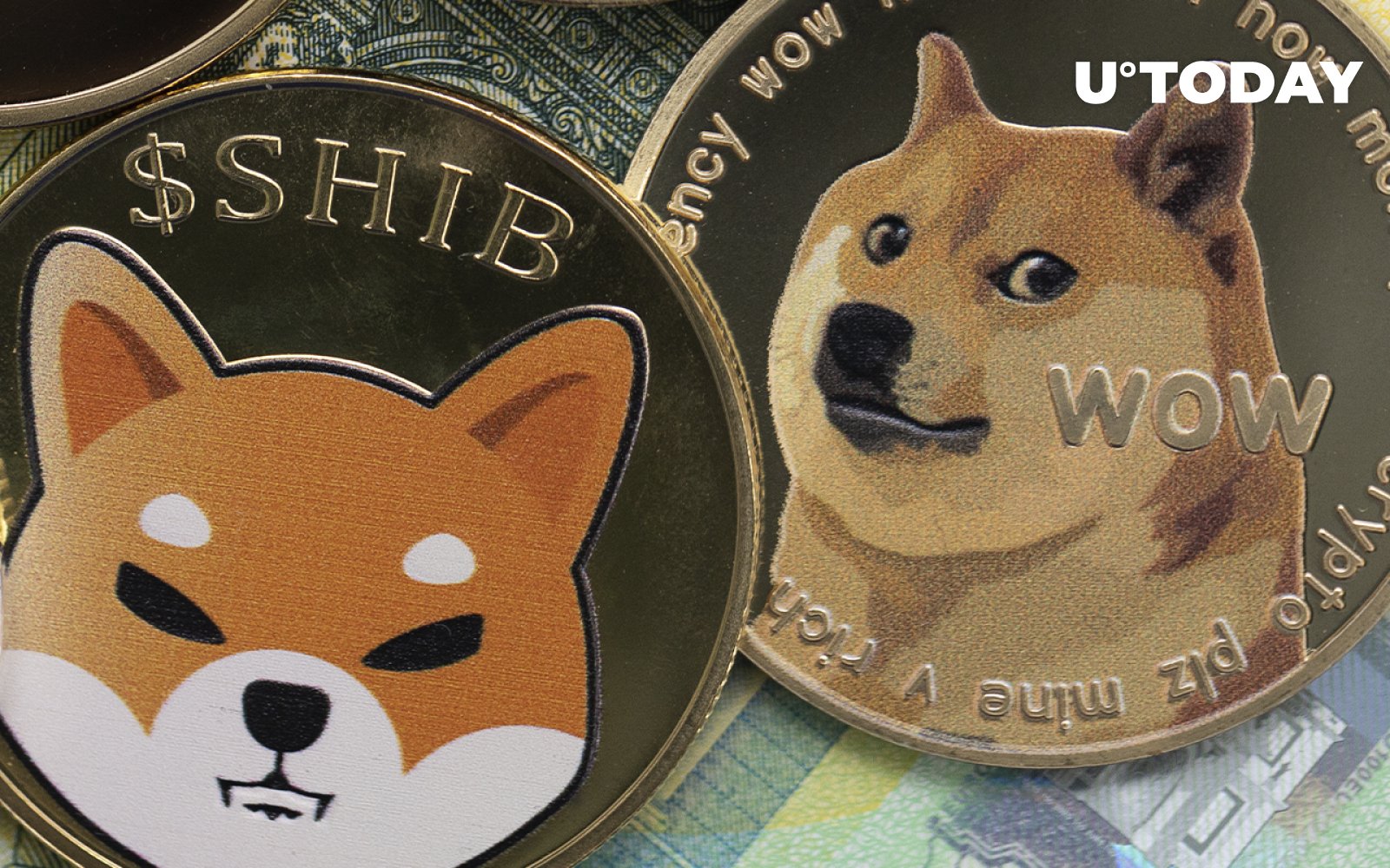 این سکه سگی مبتنی بر بیت کوین در حال حمله به DOGE و SHIB است این سکه سگی مبتنی بر بیت کوین در حال حمله به DOGE و SHIB است