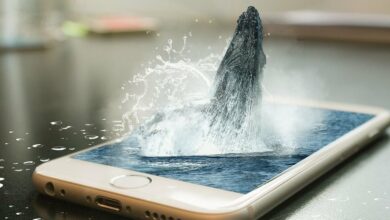 داده های OnChain نشان می دهد که نهنگ طولانی خفته ۶۱ میلیون دلار بیت کوین به کوین بیس می فرستد.