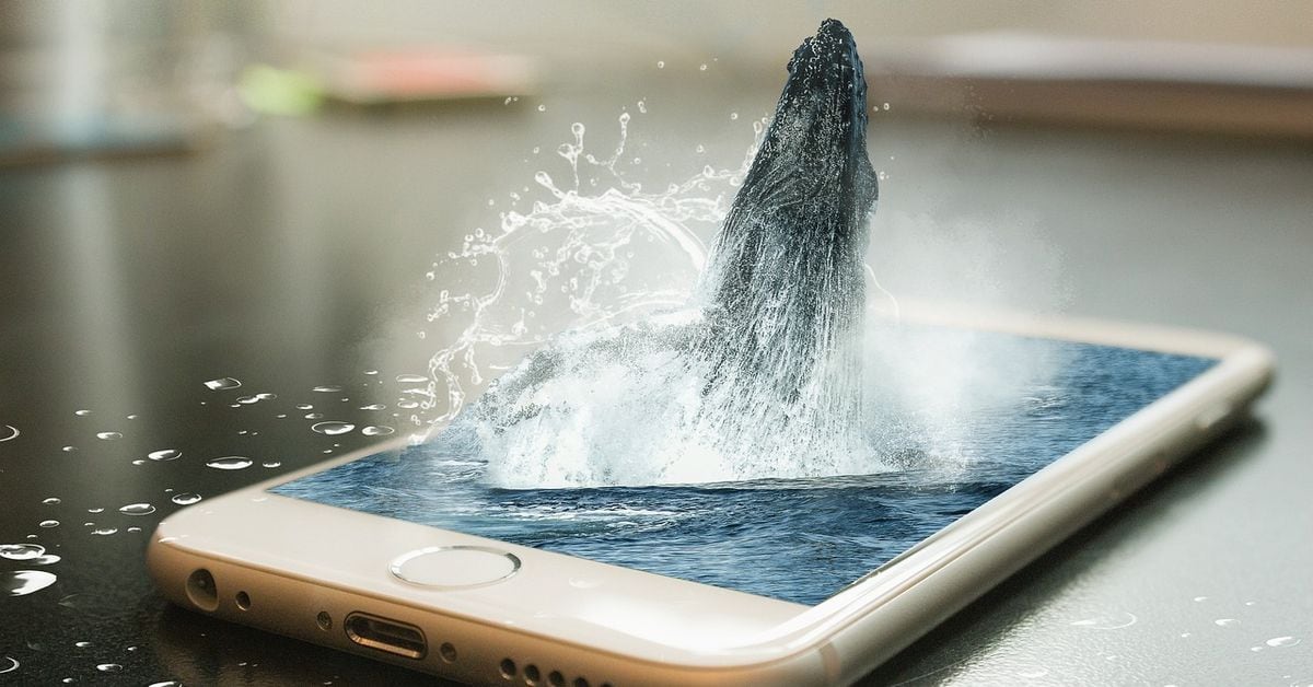 داده های OnChain نشان می دهد که نهنگ طولانی خفته ۶۱ میلیون دلار بیت کوین به کوین بیس می فرستد.