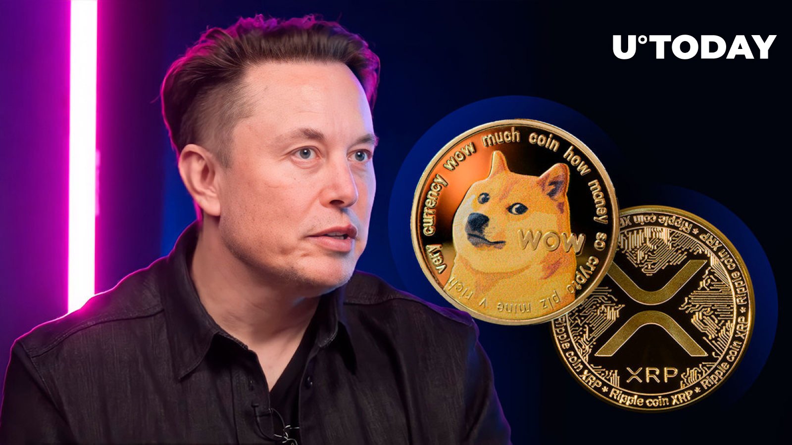 ارتش های DOGE و XRP با هیجان به توییت جدید ایلان ماسک پاسخ دادند ارتش های DOGE و XRP با هیجان به توییت جدید ایلان ماسک پاسخ دادند