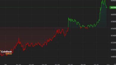 اولین محرک در آمریکا: دارایی های کریپتو با بازگشت بیت کوین به ۶۶ هزار دلار افزایش یافت