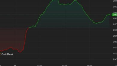 اولین محرک در آمریکا: اتر، میم کوین ها منجر به بازیابی سرنخ بیت کوین می شوند