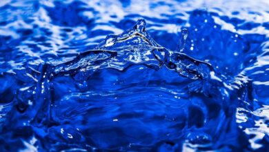 نقدینگی Meme Coin با وجود انتشار پرخطر قیمت پیشنهادی به بالاترین حد خود رسید