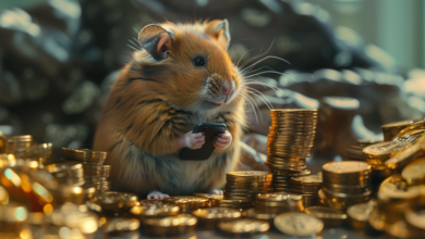 نه فقط «Notcoin»: محبوب‌ترین بازی‌های تلگرامی که به شما امکان کسب ارز دیجیتال را می‌دهد – رمزگشایی