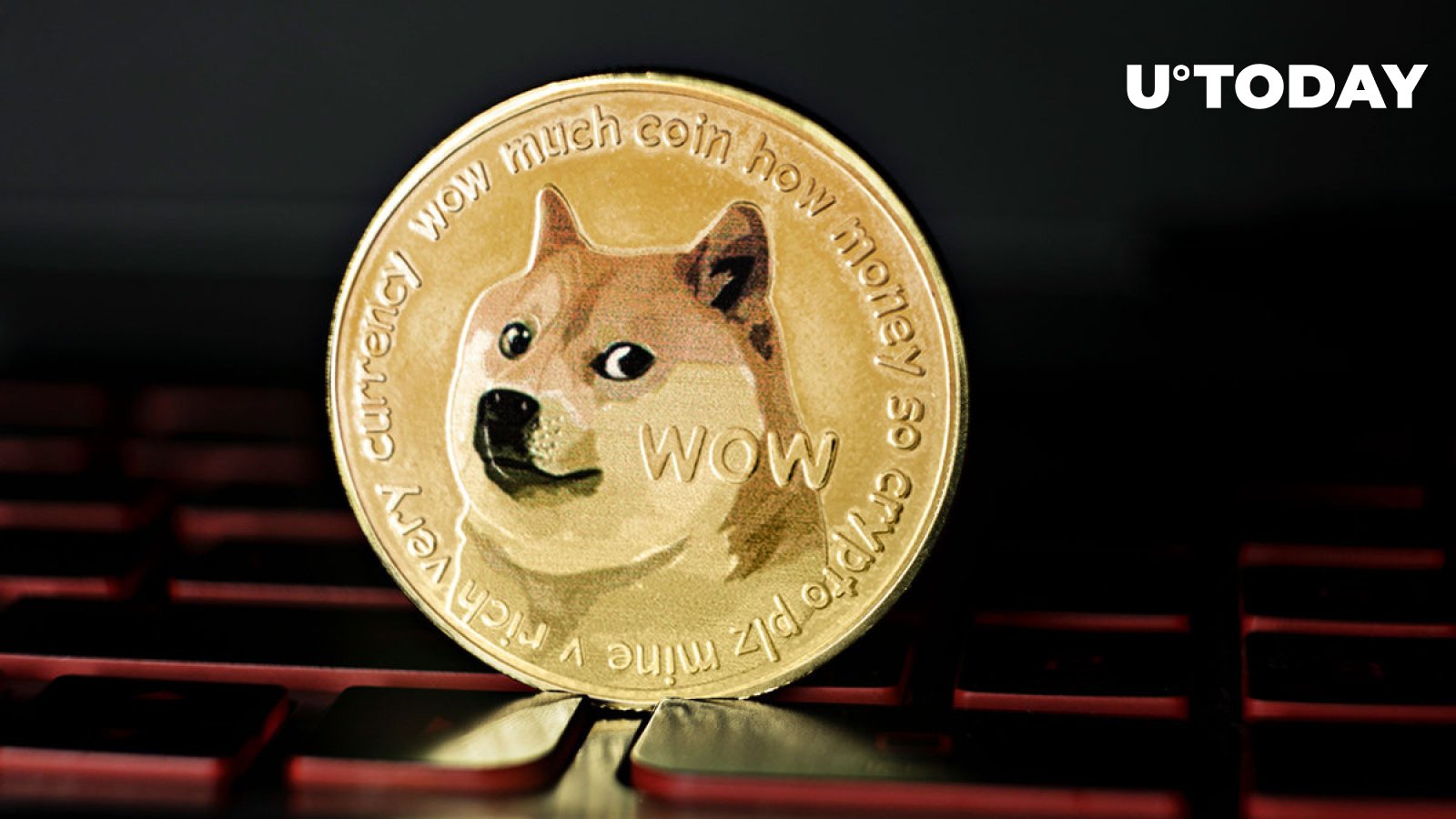 آیا نهنگ های دوج کوین ناپدید می شوند؟ در DOGE چه اتفاقی می افتد؟ آیا نهنگ های دوج کوین ناپدید می شوند؟ در DOGE چه اتفاقی می افتد؟
