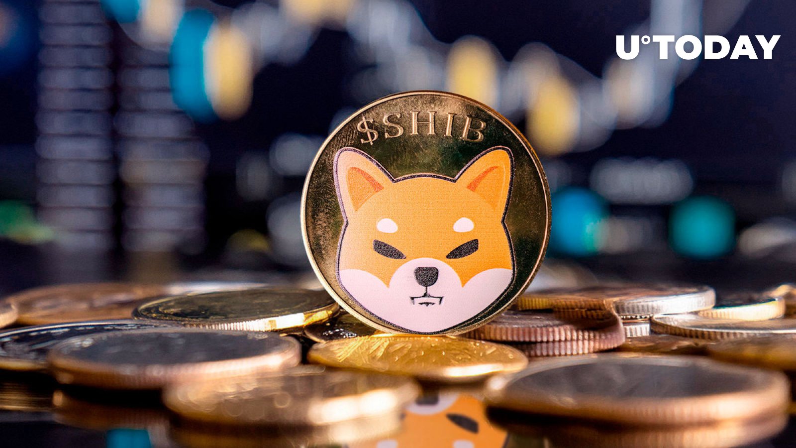 Shiba Inu 243٪ افزایش یافت اما قیمت SHIB تغییر نمی کند Shiba Inu 243٪ افزایش یافت اما قیمت SHIB تغییر نمی کند