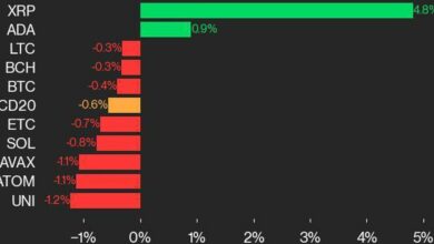 به‌روزرسانی عملکرد CoinDesk 20: XRP در میان کاهش شاخص کلی افزایش می‌یابد