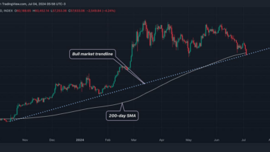 بیت کوین به زیر میانگین ۲۰۰ روزه می رسد، گاوها توجه را به خود جلب می کنند