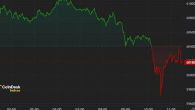 First Mover Americas: بیت کوین تا ۶۰۰۰۰ دلار سقوط کرد زیرا کوه Gox با فشار مواجه شد