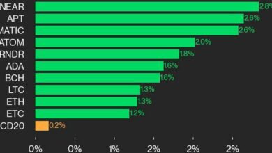 به‌روزرسانی عملکرد CoinDesk 20: NEAR و APT با افزایش ۰.۲ درصدی شاخص پیشتاز هستند