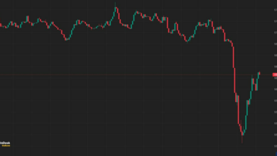 با جابجایی ۵۰۰ میلیون دلاری دیگر از دارایی های دولت آلمان، بیت کوین سقوط کرد