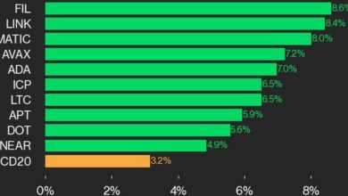 به روز رسانی عملکرد CoinDesk 20: 19 مورد از ۲۰ دارایی در وضعیت سبز هستند