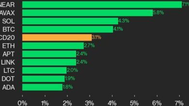 CoinDesk Performance Update 20: Leaders NEAR و AVAX