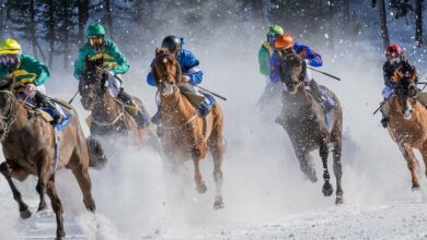 با بازگشت آنلاین بلاک چین تون، تونکوین ضررهای خود را کاهش می دهد، بیت کوین و اتر را شکست می دهد