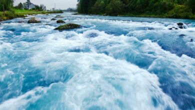 قیمت بیت کوین خفه می شود زیرا ETF های بیت کوین یک روز دیگر از ورود هیولا را ثبت می کنند