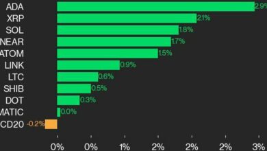 CoinDesk Performance Update 20: ADA و XRP پیشتاز هستند