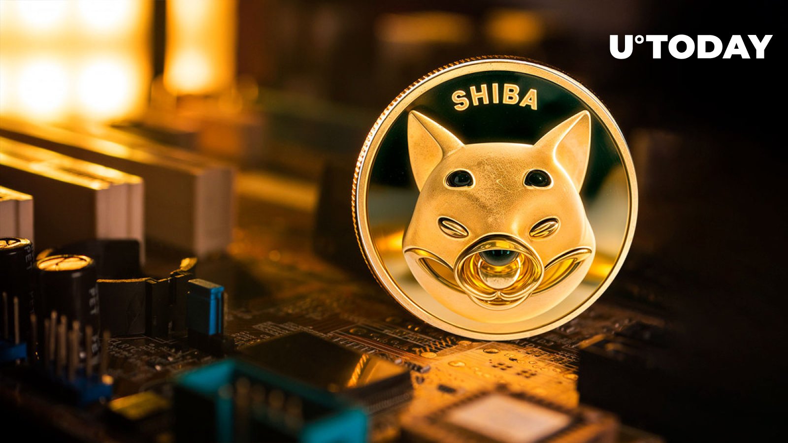 هشدار فوری هدیه Shiba Inu برای انجمن SHIB صادر شد: جزئیات