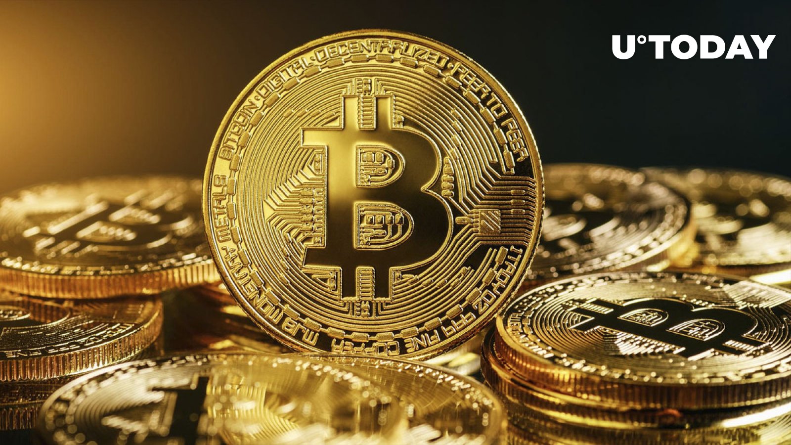 262000 بیت کوین توسط دارندگان بزرگ بیت کوین در جریان انباشت ربوده شد