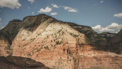 ETF های اتر پول را کم می کنند اما این همه ماجرا نیست.