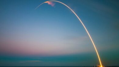 رشد محدود: عدم تطابق بین عرضه و تقاضای رمز در چرخه فعلی.