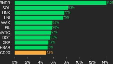 به‌روزرسانی عملکرد CoinDesk 20: RNDR بازگشت ۱۴.۲ درصد، شاخص پیشرو بالاتر