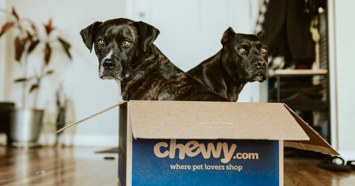 بلاک چین TON برای دومین بار با قطعی تلگرام مرتبط شد