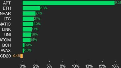CoinDesk Performance Update 20: APT 17.3% افزایش می یابد در حالی که شاخص اندکی کاهش می یابد