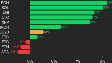 به‌روزرسانی عملکرد CoinDesk 20: با افزایش ۰.۳ درصدی شاخص، سرب BCH و SOL