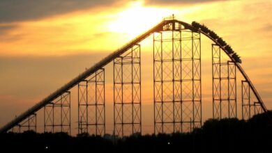 با از دست دادن ۸۰ میلیون دلار ETF های بیت کوین، رهبران اصلی رمزارزهای DOGE، XRP کاهش یافتند.