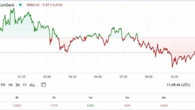 اولین محرک آمریکا: بیت کوین پس از اینکه در مصاحبه ماسک-ترامپ به رمز ارز اشاره ای نکرد، سکوت می کند