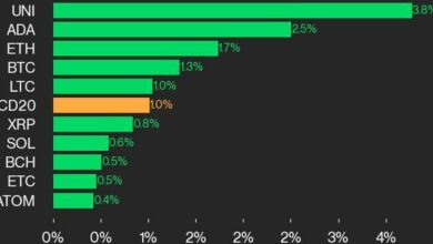 به‌روزرسانی عملکرد CoinDesk 20: UNI با افزایش ۳.۸ درصدی با افزایش شاخص پیشتاز است.