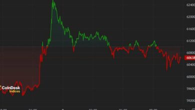 اولین محرک آمریکا: بیت کوین به ۶۲۰۰۰ دلار بازگشت، گاوها دوباره ۱۰۰۰۰۰ دلار درآمد دارند