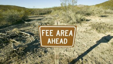 تحلیلگر: کارمزدهای گاز اتریوم کاهش می یابد این یک علامت مثبت برای ETH در نظر گرفته می شود.