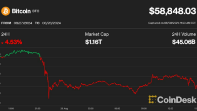 بیت کوین به طور غیرمنتظره ای باز می گردد، انویدیا جلوتر از اعلام درآمد سقوط می کند در نتیجه، سرمایه گذاران نگران ریسک نیستند.