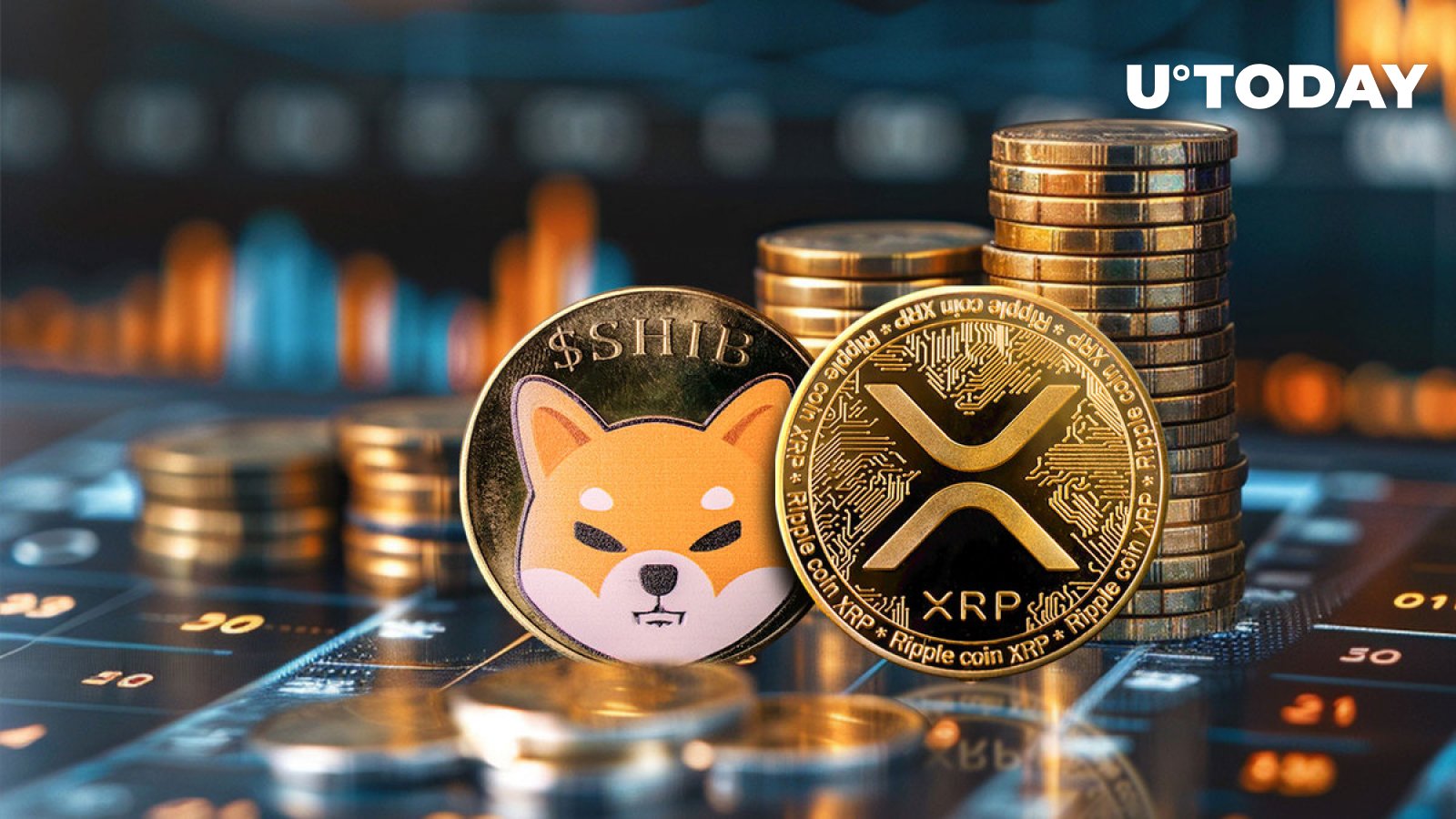 XRP و Shiba Inu (SHIB) همبستگی غیرمعمول را نشان می دهند: جزئیات