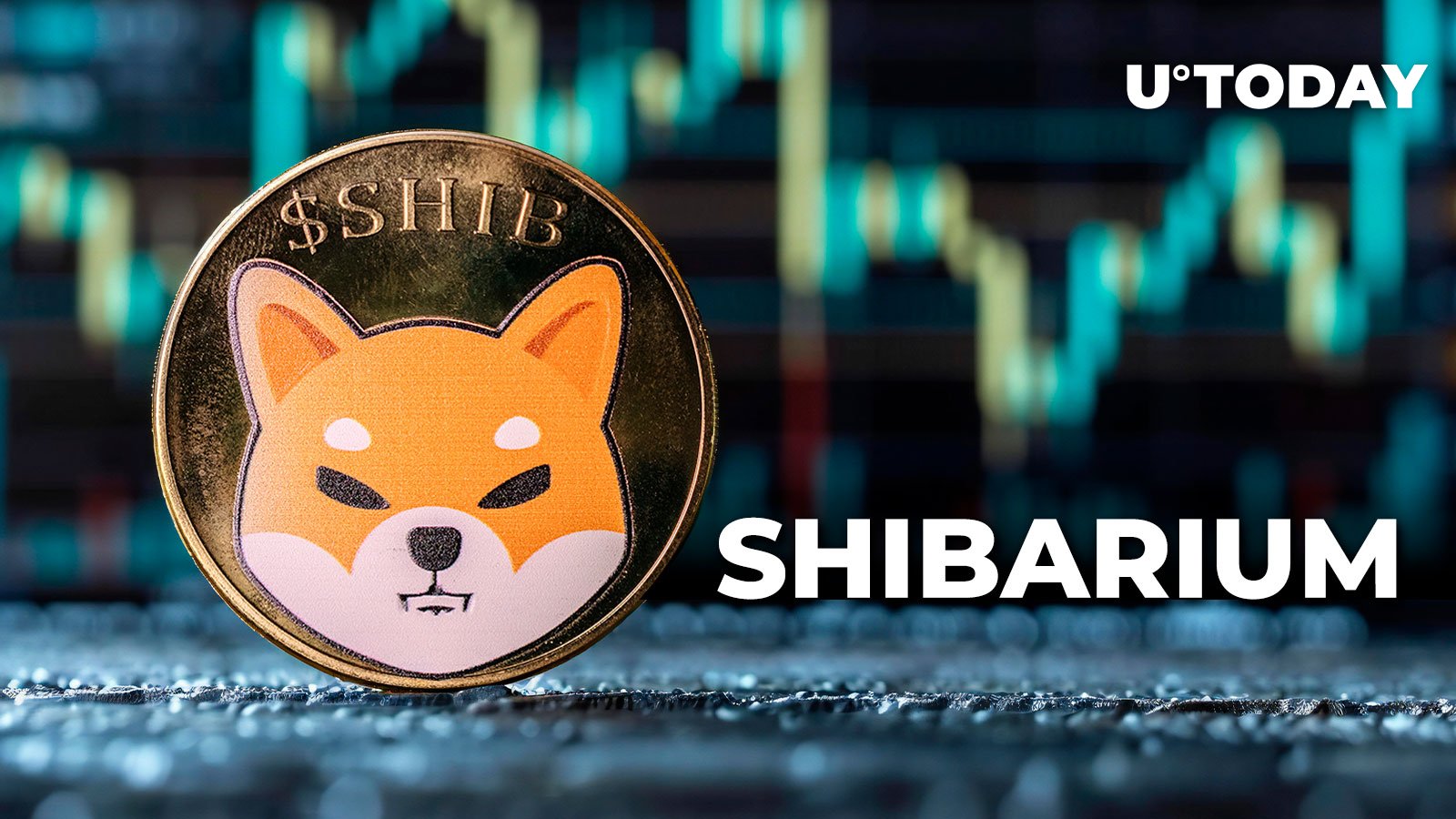 Shibarium’s Shiba Inu 1548% افزایش در معیارهای کلیدی دارد
