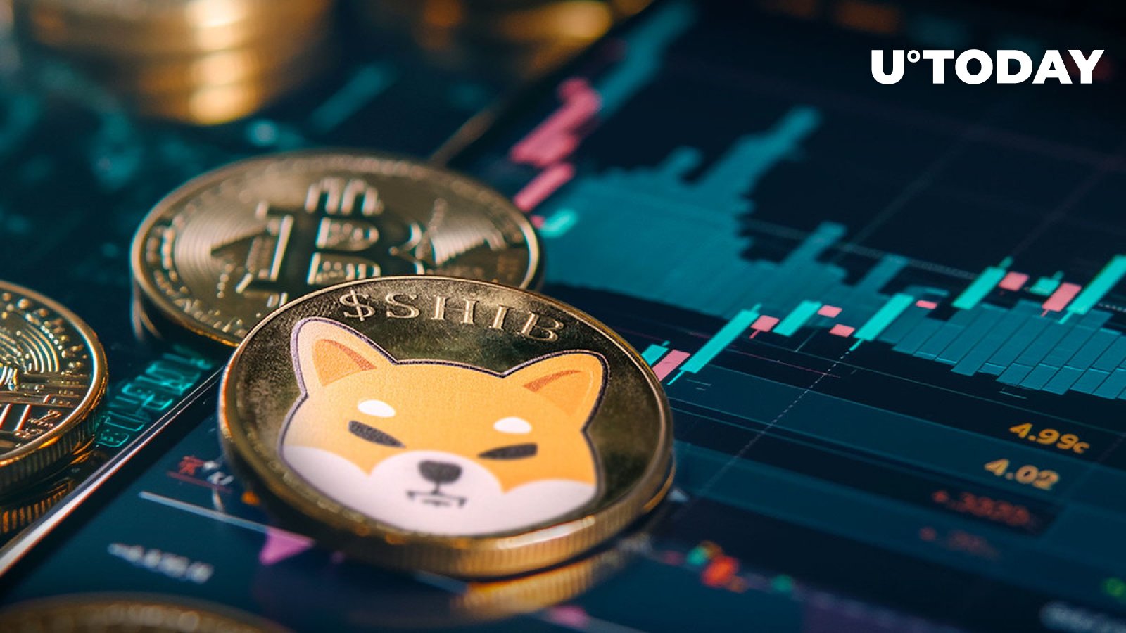 مدیر Shiba Inu بازار بیت کوین را پیش بینی می کند