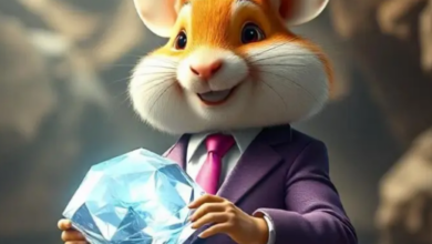 چگونه می توان بیشترین الماس را در فصل Interlude همستر کمبت به دست آورد – رونوشت