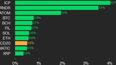 به‌روزرسانی عملکرد CoinDesk 20: ICP و RNDR با افزایش ۰.۵ درصدی شاخص، پیشتاز هستند