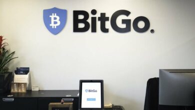 بیت گو با کوین USDS با بازده وارد بازار استیبل کوین می شود