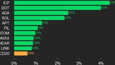 به‌روزرسانی عملکرد CoinDesk 20: ICP 4.4 درصد افزایش یافته است، شاخص پیشرو بالاتر است