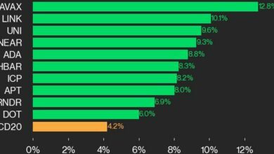 به روز رسانی عملکرد CoinDesk 20: AVAX 12.8% افزایش می یابد، شاخص را بالاتر می برد