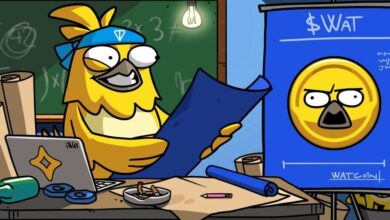 WatBird GAMEE در حال آماده شدن برای راه‌اندازی توکن‌ها در ماه سپتامبر در The Open Network – Decrypt است