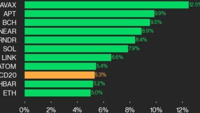 به‌روزرسانی عملکرد CoinDesk 20: با وجود همه دارایی‌های سبز، شاخص ۵.۳ درصد افزایش می‌یابد.
